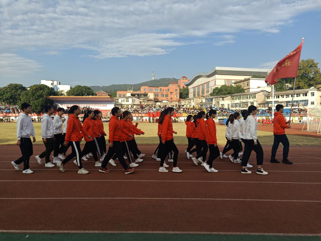 公司运动员代表队